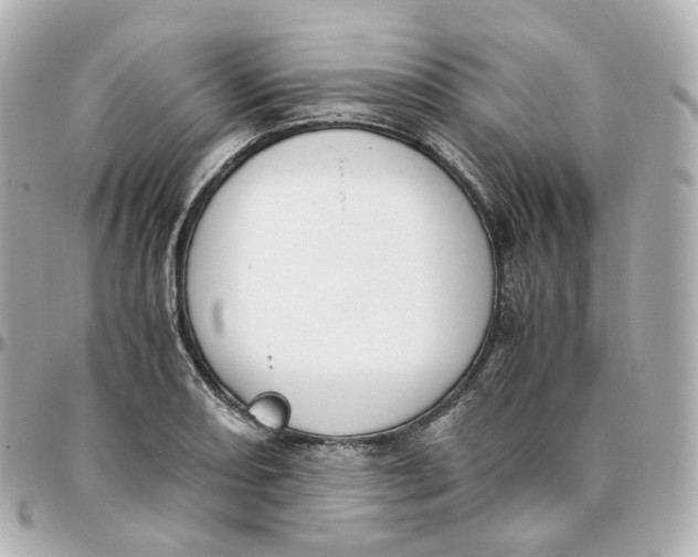 X0000095911082200802011145