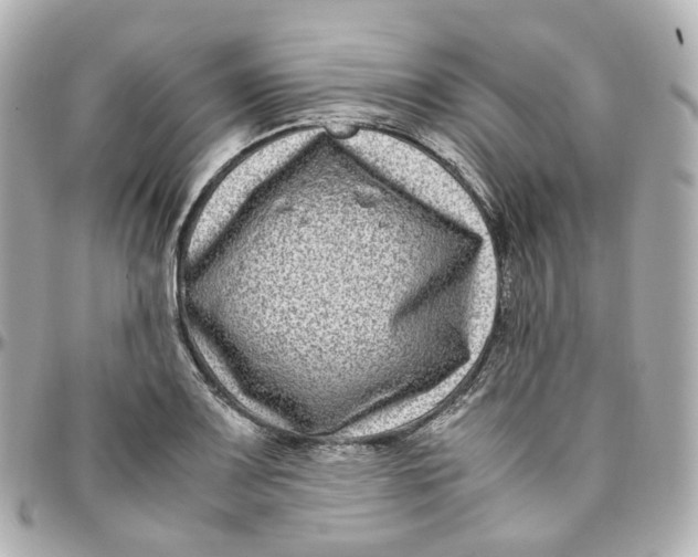 X0000095911083200802011145