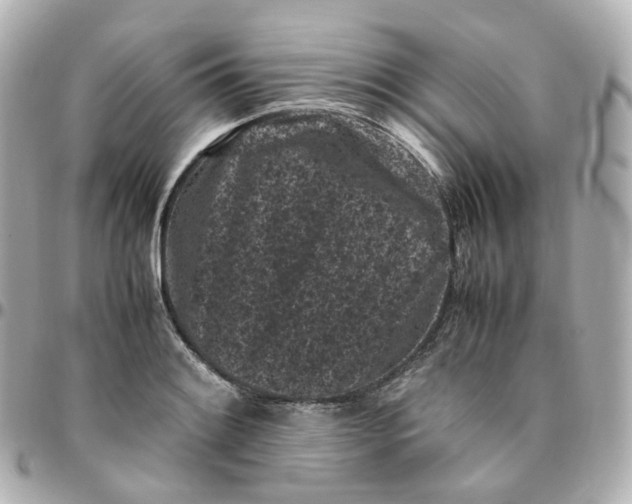 X0000095911084200802011145