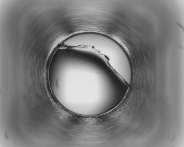 X0000095911085200802011145