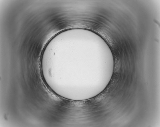 X0000095911086200802011145