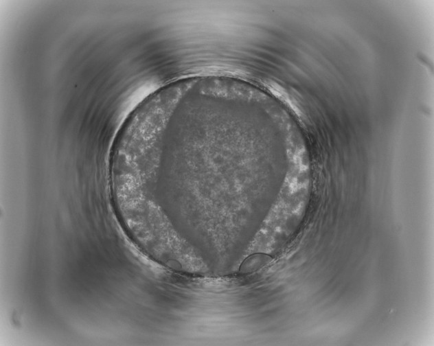 X0000095911087200802011145