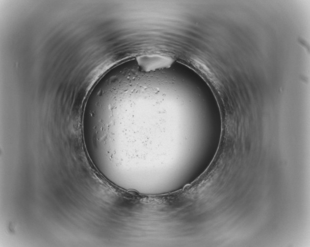 X0000095911089200802011145