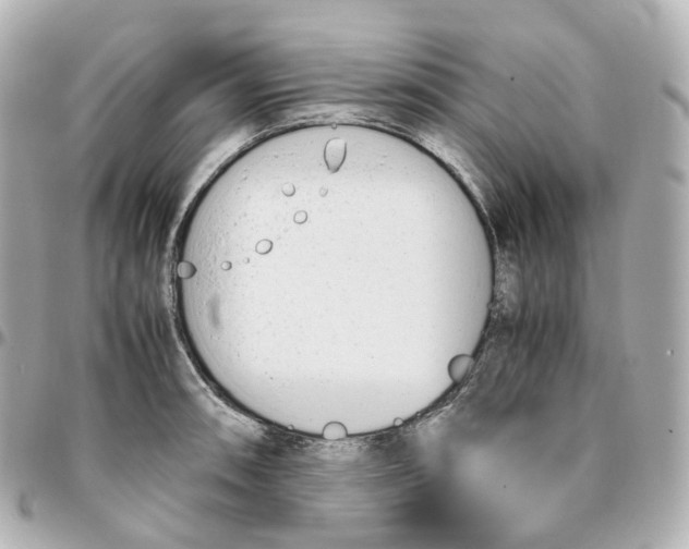 X0000095911090200802011145