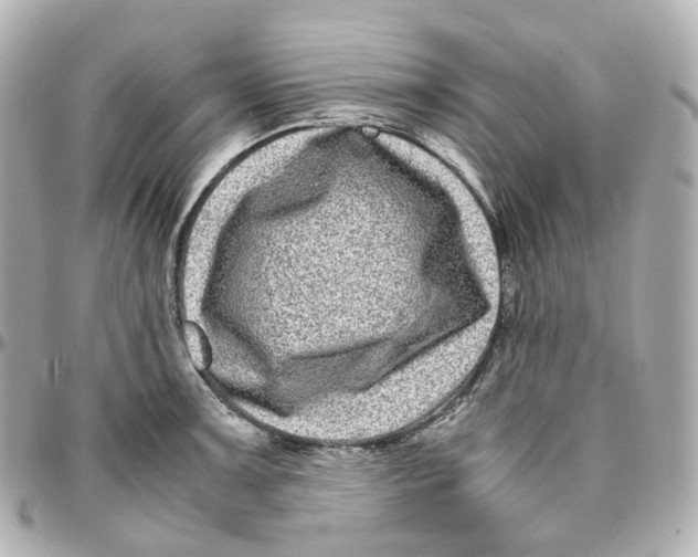 X0000095911091200802011145