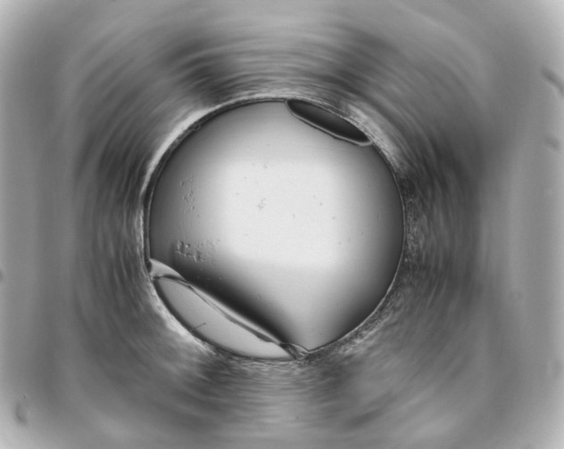 X0000095911092200802011145