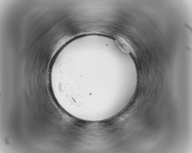 X0000095911093200802011145