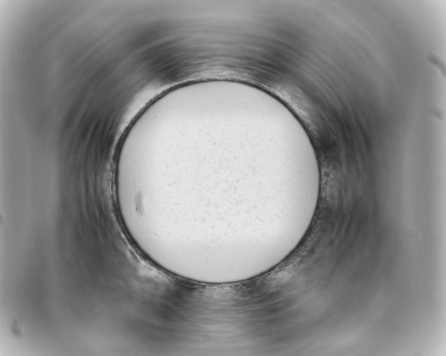 X0000095911094200802011145