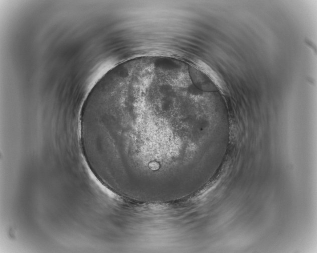 X0000095911095200802011145