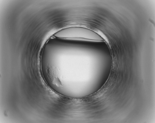 X0000095911096200802011145