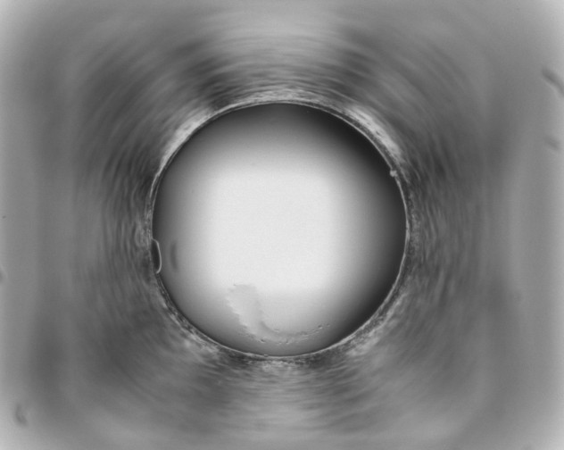 X0000095911097200802011145