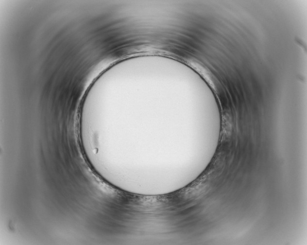 X0000095911098200802011145