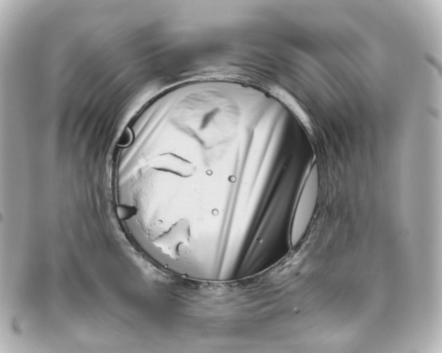 X0000095911099200802011145