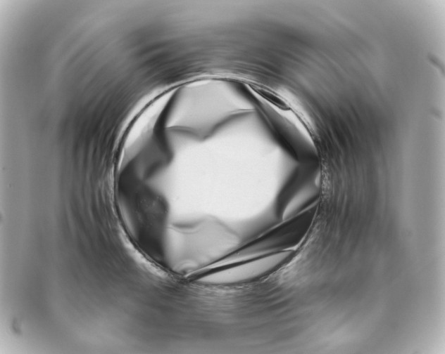 X0000095911100200802011145