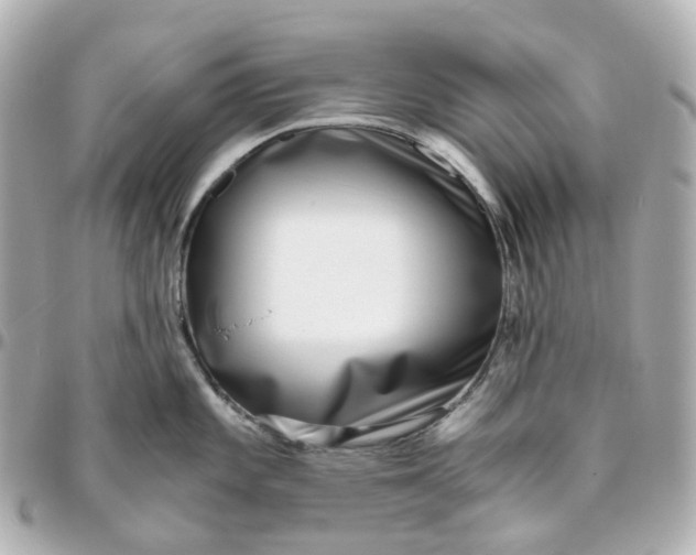 X0000095911101200802011145