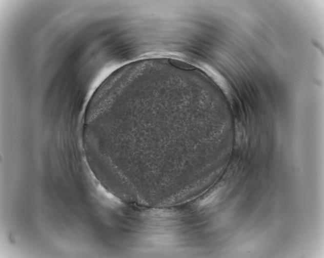 X0000095911102200802011145