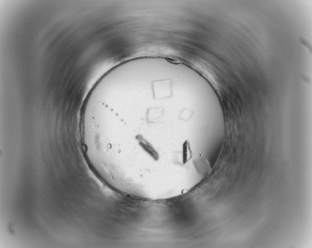 X0000095911103200802011145