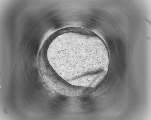 X0000095911104200802011145