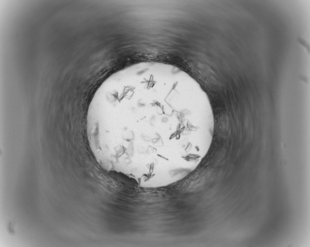 X0000095911105200802011144