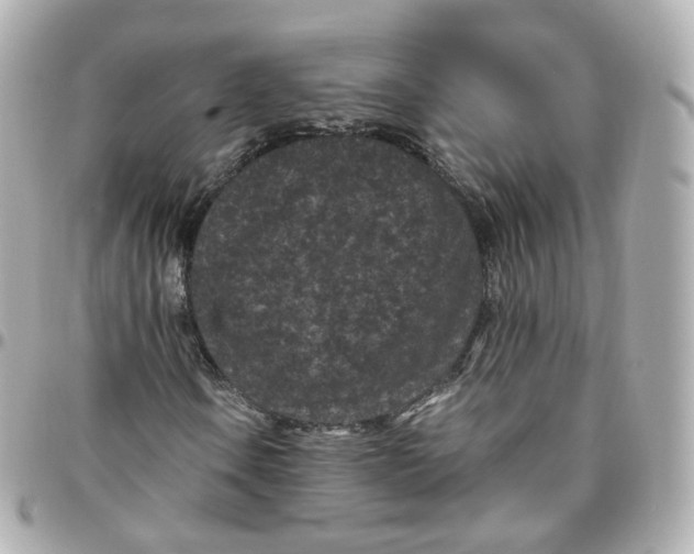 X0000095911106200802011144