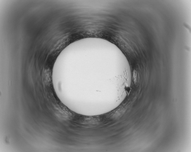 X0000095911107200802011144