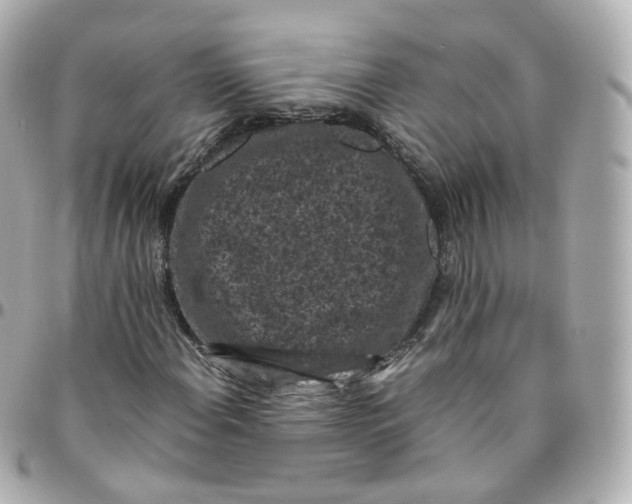 X0000095911108200802011144