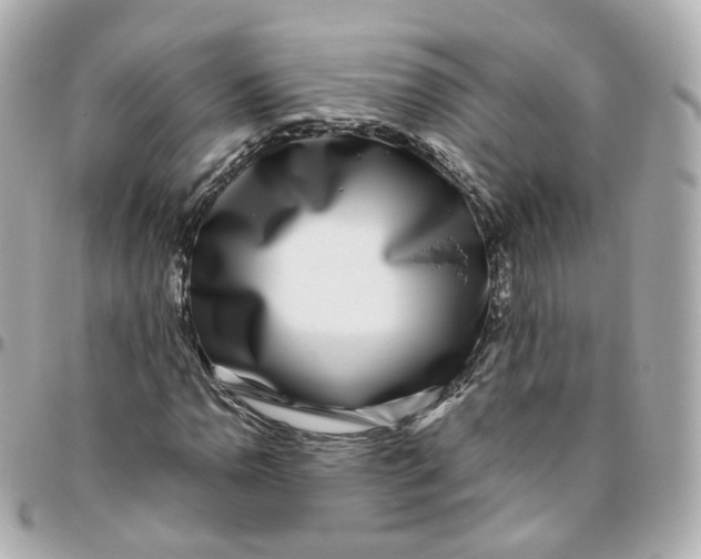 X0000095911110200802011144