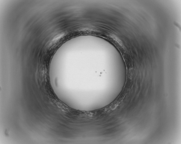 X0000095911111200802011144