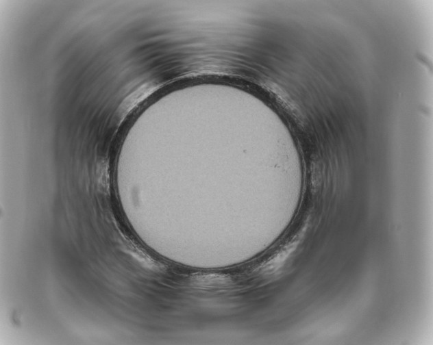 X0000095911113200802011144