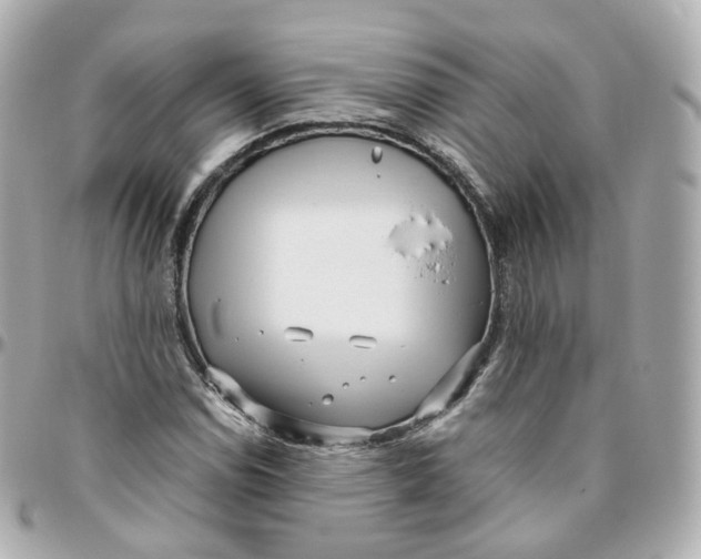 X0000095911114200802011144