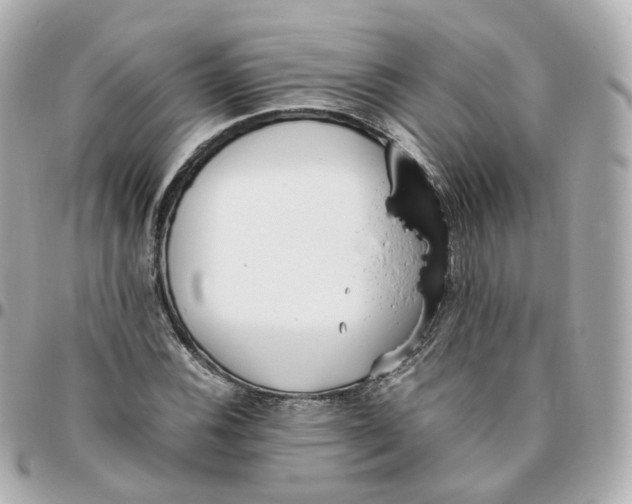 X0000095911116200802011144