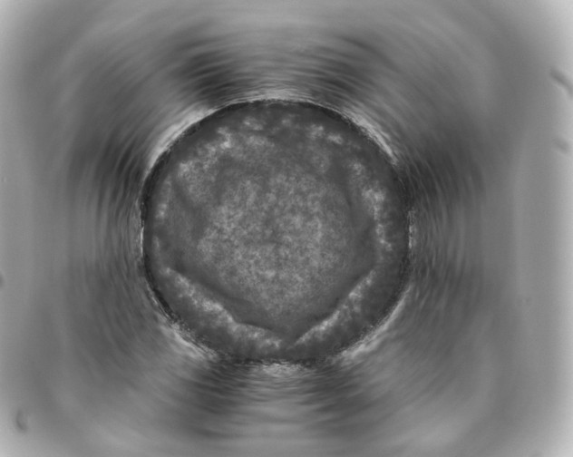 X0000095911117200802011144