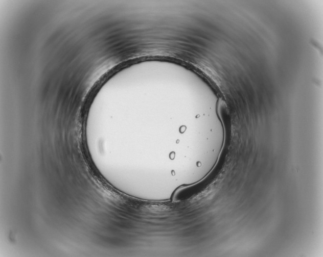 X0000095911119200802011144