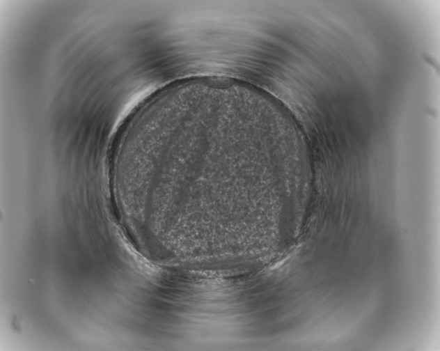 X0000095911120200802011144