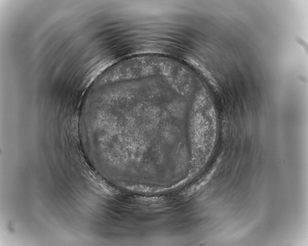 X0000095911121200802011144