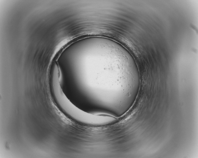 X0000095911122200802011144