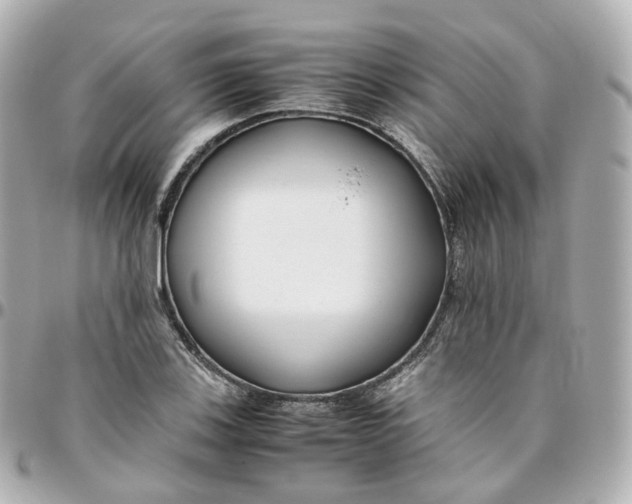 X0000095911123200802011144