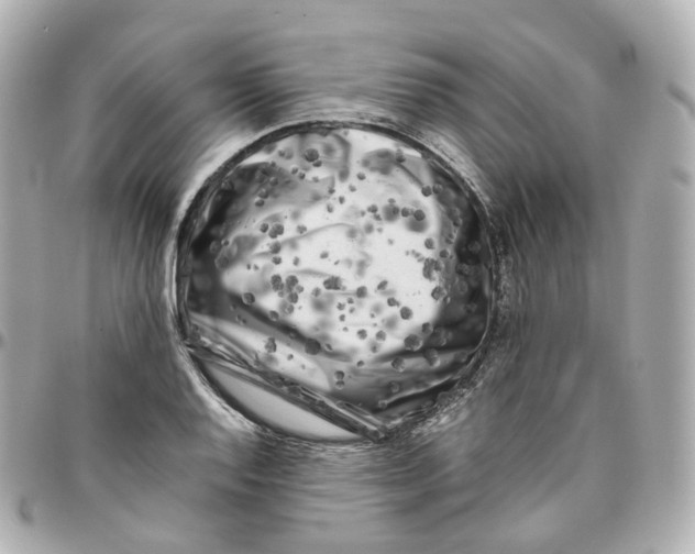 X0000095911128200802011144