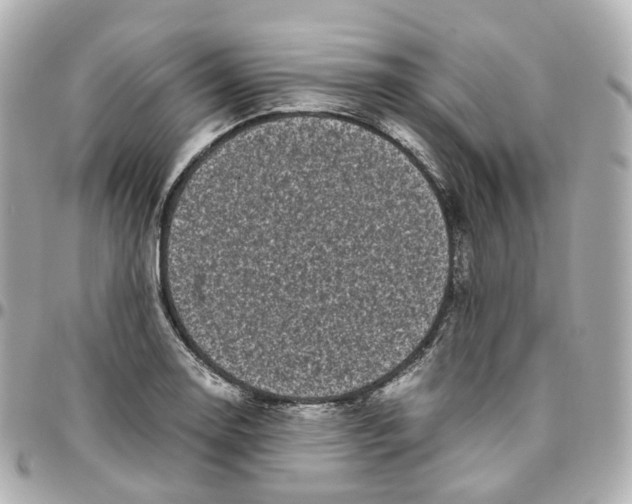 X0000095911130200802011144