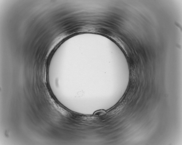 X0000095911131200802011144