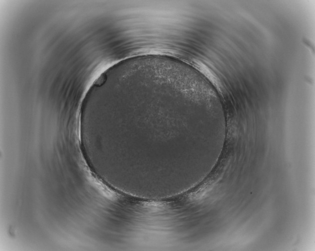 X0000095911132200802011144