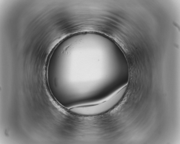 X0000095911134200802011144