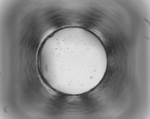 X0000095911135200802011144