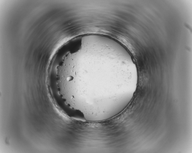 X0000095911136200802011144