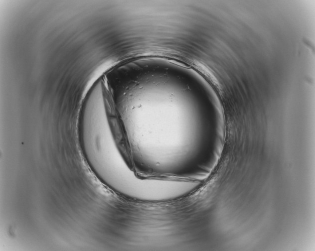 X0000095911138200802011145