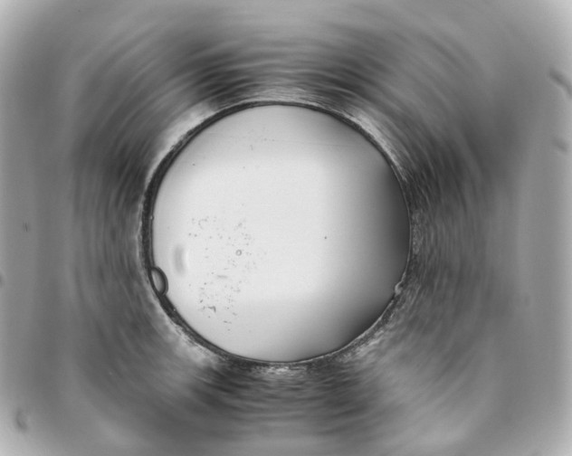 X0000095911139200802011145