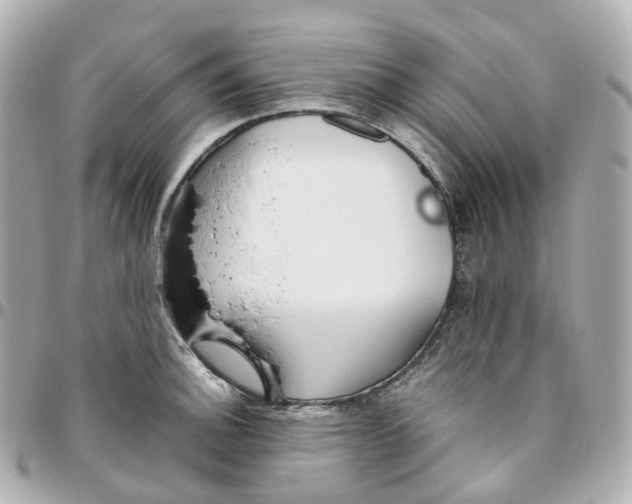 X0000095911140200802011145