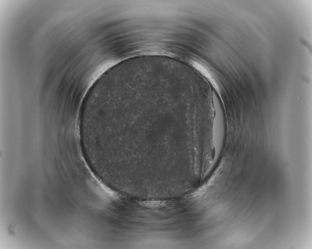 X0000095911141200802011145