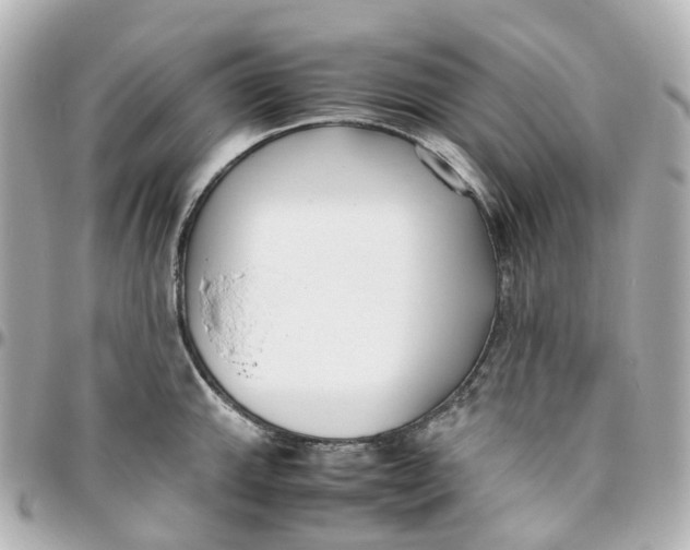 X0000095911143200802011145