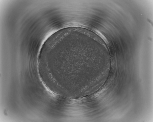 X0000095911144200802011145